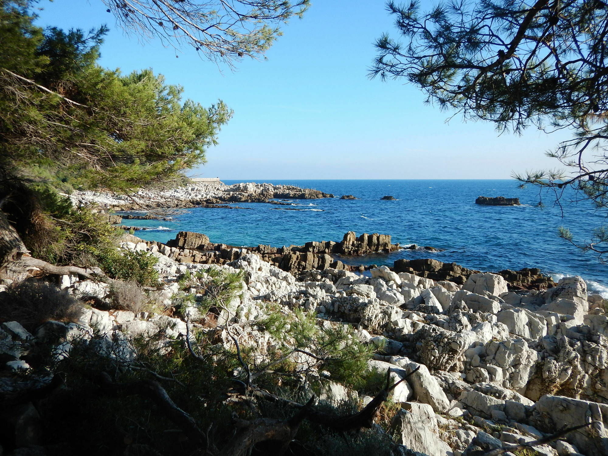 Hotel Miramar- Cap D'Antibes - La Garoupe Plage Екстер'єр фото